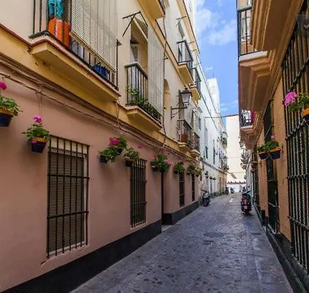 La Casa De Bicis